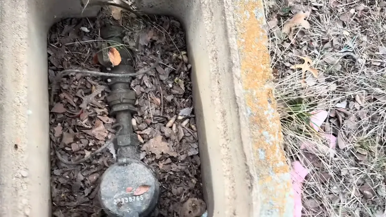 A water meter and brass fittings inside a concrete ground box filled with dry leaves.